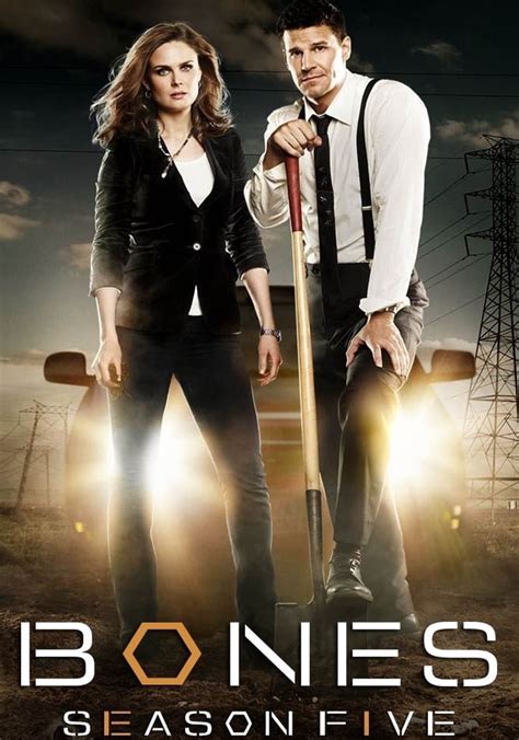 bones temporada 5 español latino|bones los capítulos completos.